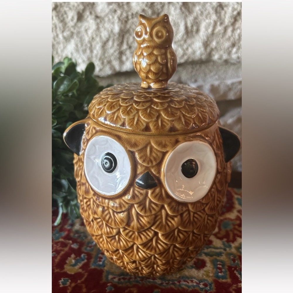 PIER 1 IMPORTS Owl‎ Cookie Jar Canister with Lid Brown 9.5” x6.5" Excellent